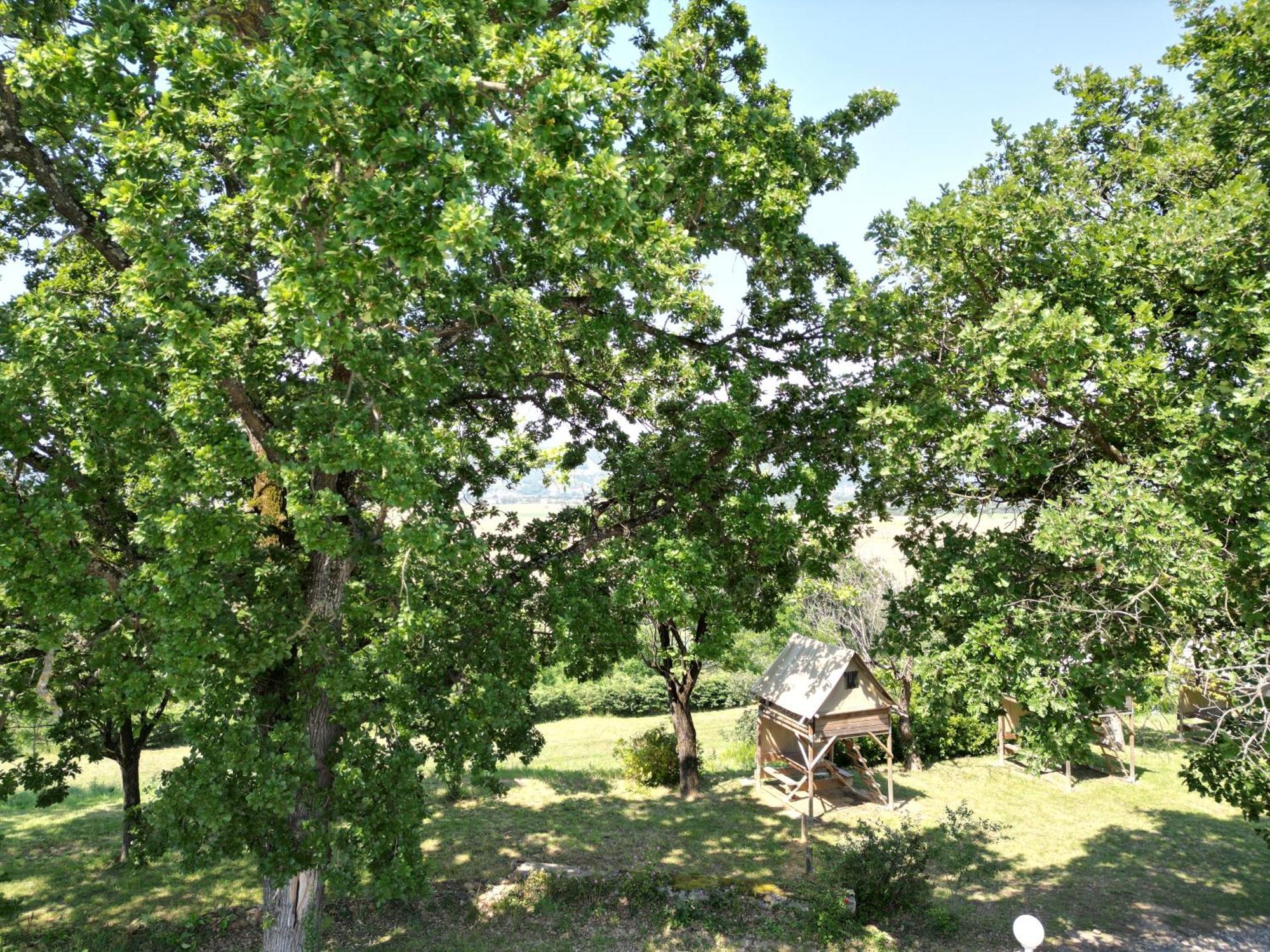 Camping Domaine De Senaud Albon Eksteriør bilde